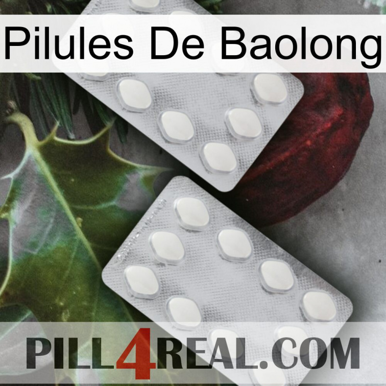 Baolong Pills 17